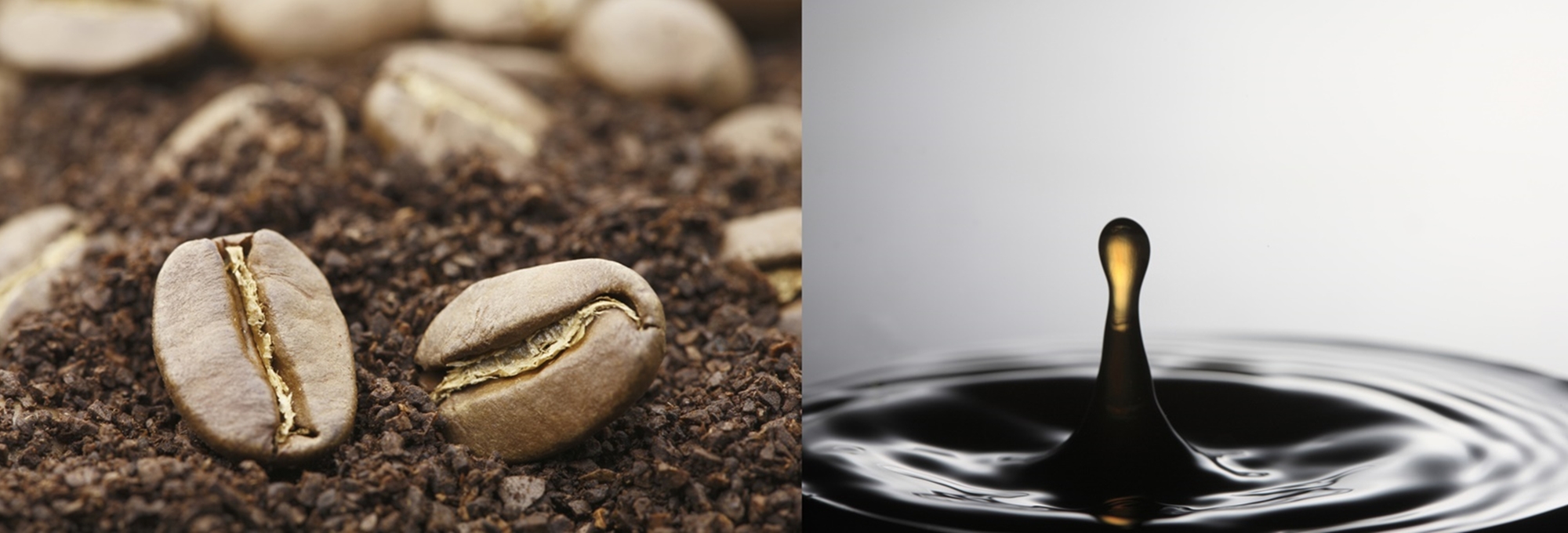 宮原珈琲イメージ写真